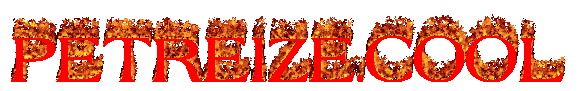 PETREIZE.COOL